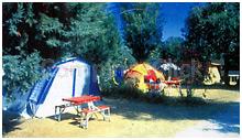 Campsite Catalan