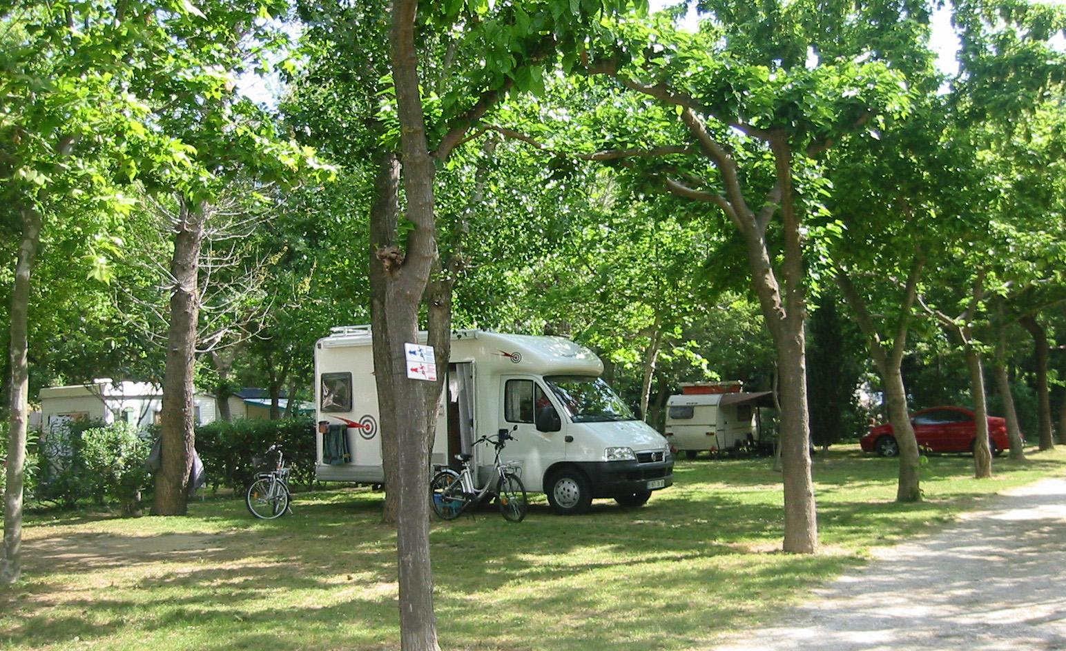 Campsite Catalan